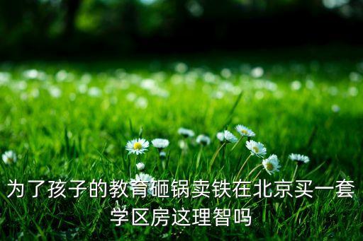 为了孩子的教育砸锅卖铁在北京买一套学区房这理智吗