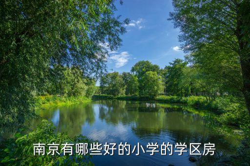 学区房买什么小区好呢南京，请问南京哪边的双学区房性价比更好拉小和芳草园哪个更好啊  搜