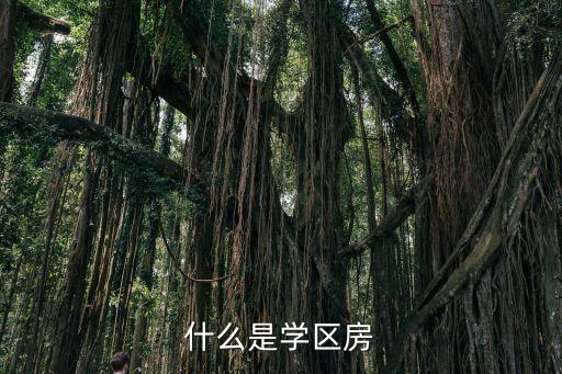 什么是学区房