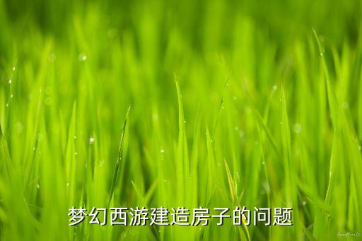 梦幻西游建造房子的问题
