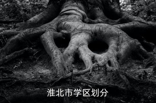 淮北市学区划分