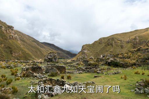 太和汇鑫九如天宝闹了吗