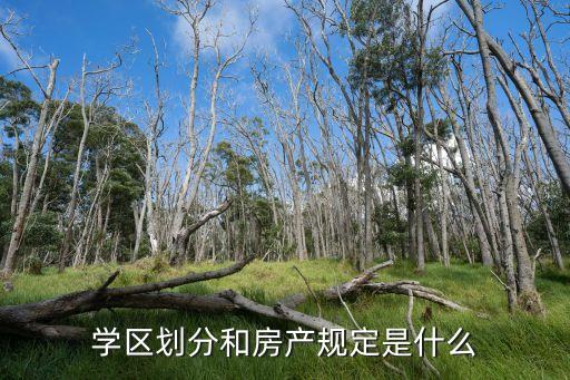 学区划分和房产规定是什么