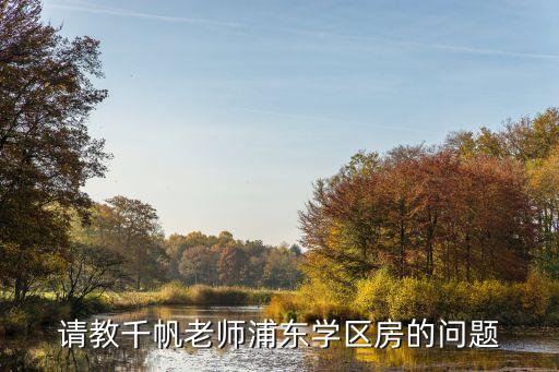 请教千帆老师浦东学区房的问题