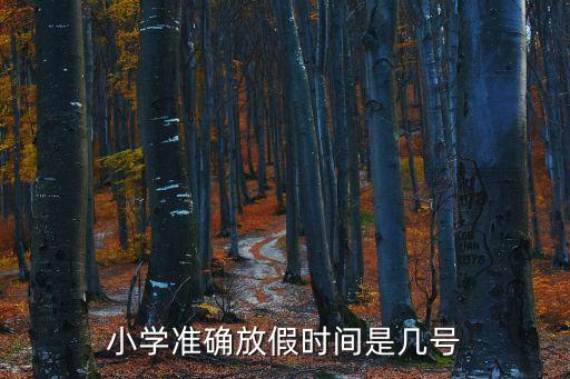 小学准确放假时间是几号