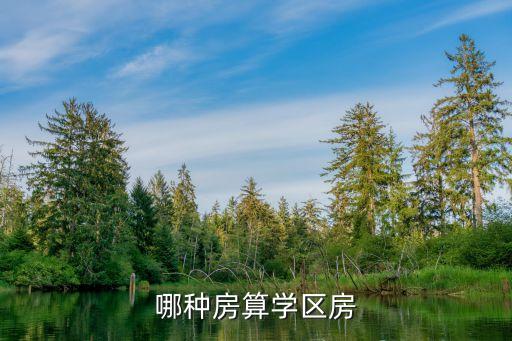 哪种房算学区房