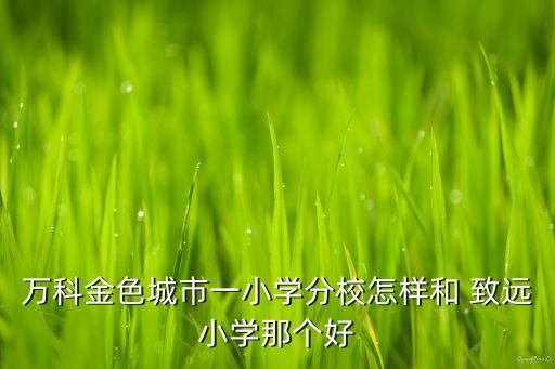 万科金色城市一小学分校怎样和 致远小学那个好