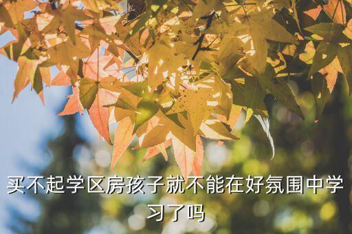 买不起学区房孩子就不能在好氛围中学习了吗