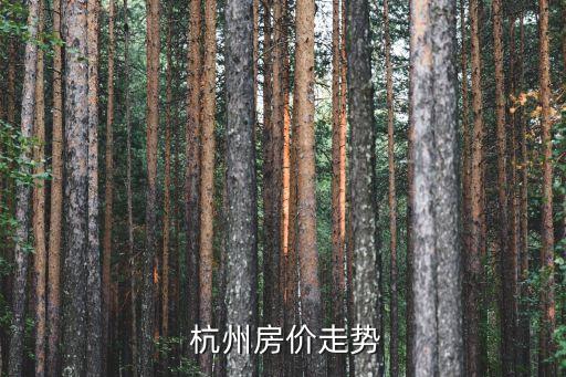 杭州钱江新城哪些学区房