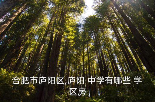 合肥市庐阳区,庐阳 中学有哪些 学区房
