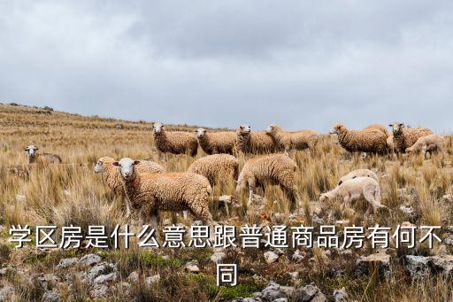 地铁房学区房是什么意思，学区房是什么意思