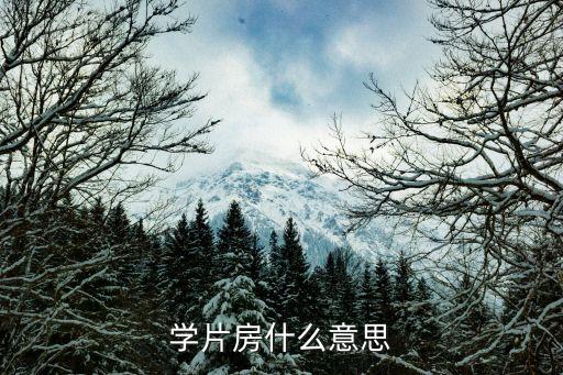 非学区房是什么意思，非学区生是什么意思