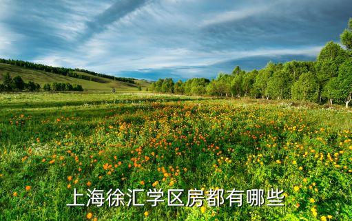 上海徐汇学区房都有哪些