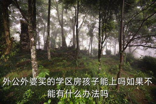 学区房报名为什么要排队，请问今年小学入学招生需要提前排队吗