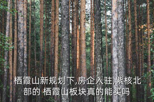 栖霞山新规划下,房企入驻,紫核北部的 栖霞山板块真的能买吗
