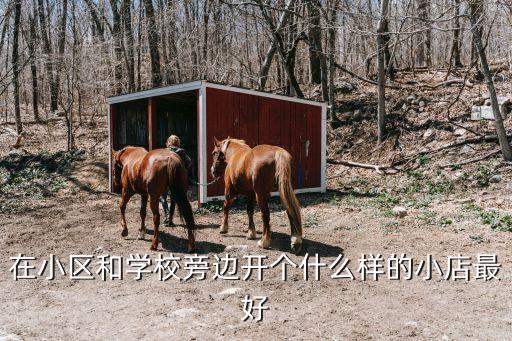 在小区和学校旁边开个什么样的小店最好