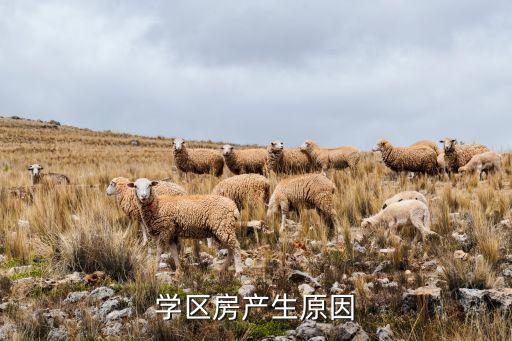 为什么要去好的学区房上学，买学区房是目的什么