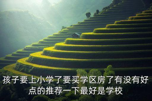 孩子要上小学了要买学区房了有没有好点的推荐一下最好是学校