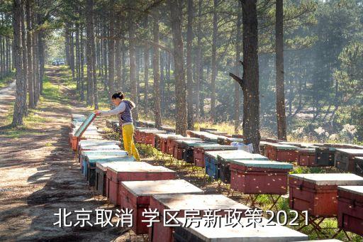 北京取消 学区房新政策2021
