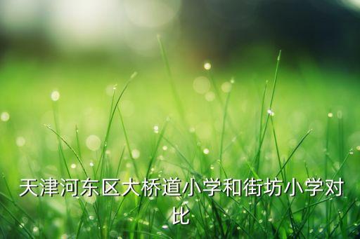  天津河东区大桥道小学和街坊小学对比