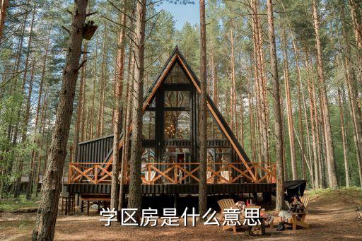 学区房是什么意思