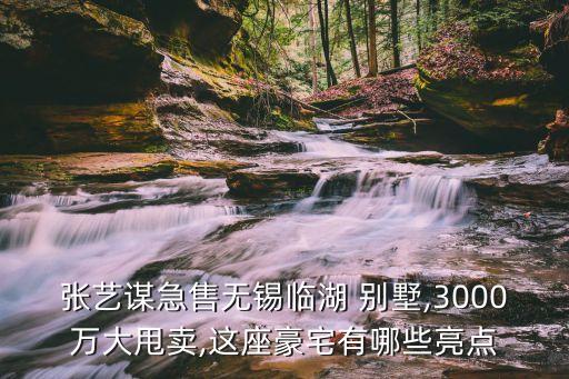 张艺谋急售无锡临湖 别墅,3000万大甩卖,这座豪宅有哪些亮点