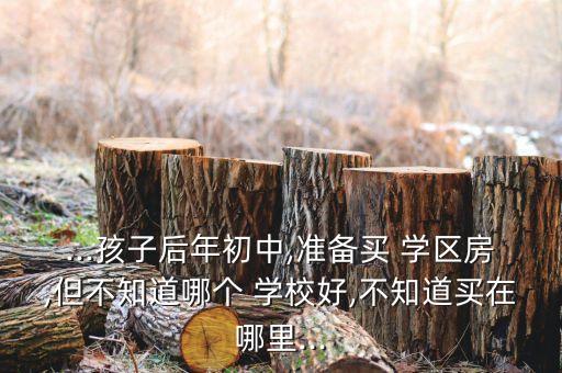 ...孩子后年初中,准备买 学区房,但不知道哪个 学校好,不知道买在哪里...