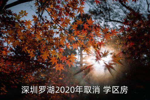 深圳罗湖2020年取消 学区房