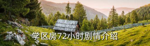 学区房72小时剧情介绍