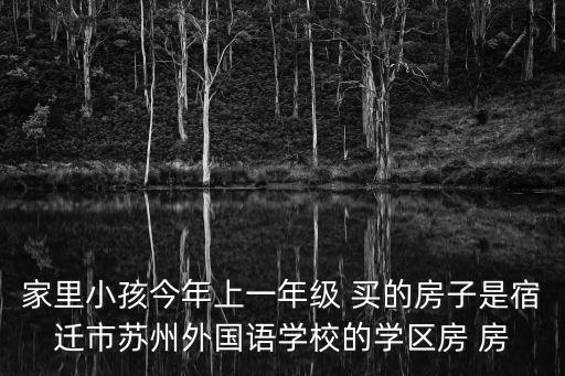 家里小孩今年上一年级 买的房子是宿迁市苏州外国语学校的学区房 房