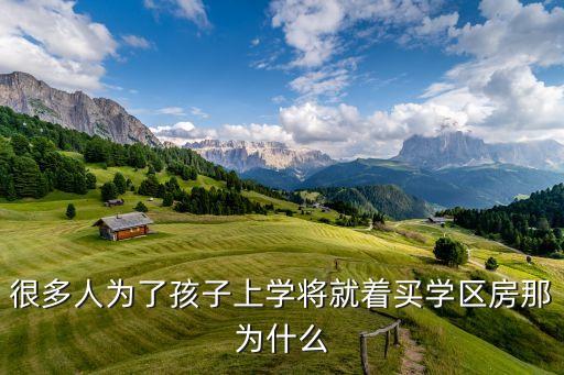 很多人为了孩子上学将就着买学区房那为什么