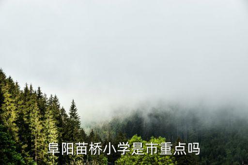 阜阳苗桥小学是市重点吗