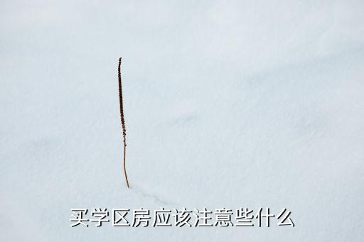 买学区房应该注意些什么