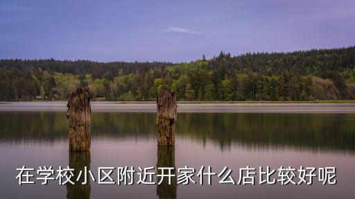 学区房附近可以开什么店，在小区和学校旁边开个什么样的小店最好