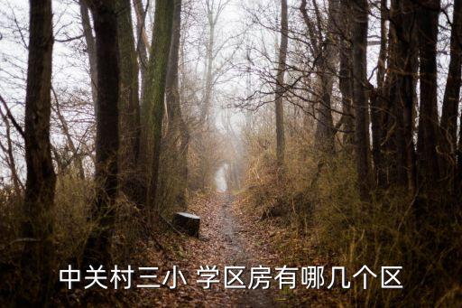 中关村三小 学区房有哪几个区