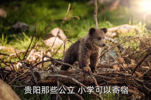  贵阳那些公立 小学可以寄宿