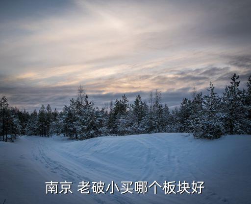 皇姑老破小学区房怎么选