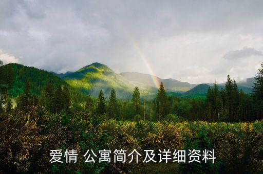  爱情 公寓简介及详细资料