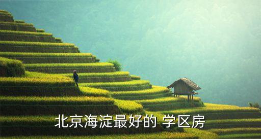 学区房的房子哪个最好,房子是不是学区房应该咨询哪个部门