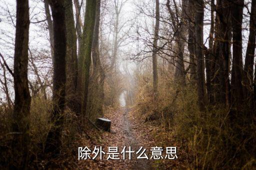 除外是什么意思
