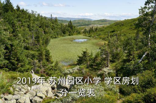 2019年 苏州园区小学 学区房划分一览表