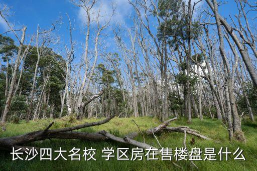 长沙四大名校 学区房在售楼盘是什么
