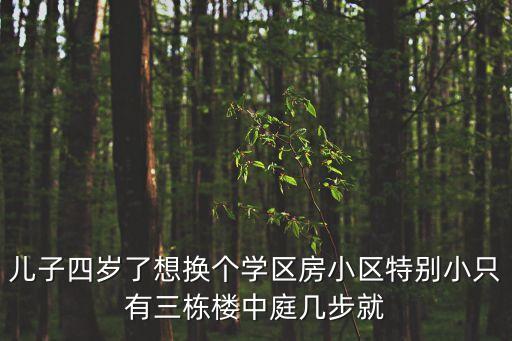 儿子四岁了想换个学区房小区特别小只有三栋楼中庭几步就