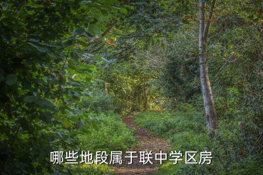 哪些地段属于联中学区房