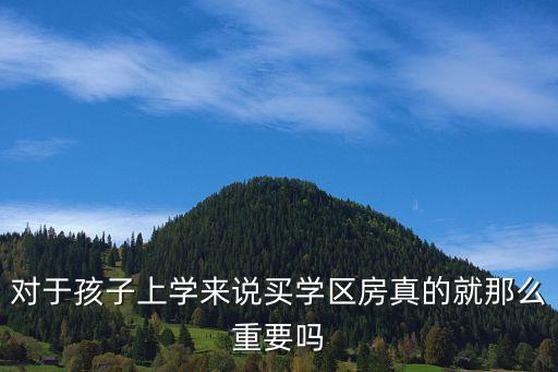 对于孩子上学来说买学区房真的就那么重要吗