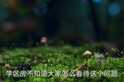 学区房不知道大家怎么看待这个问题