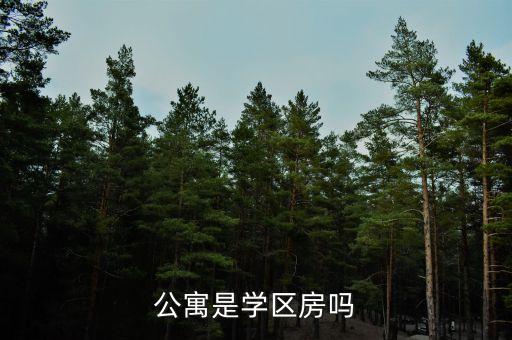 临嘉公寓是什么学区房，公寓是学区房吗