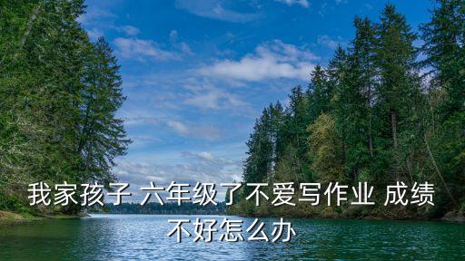 我家孩子 六年级了不爱写作业 成绩不好怎么办