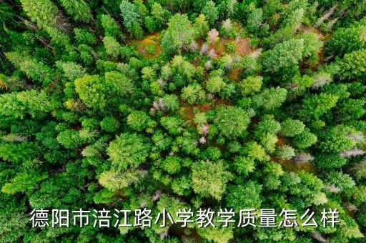  德阳市涪江路小学教学质量怎么样