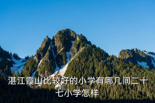 湛江好的学区房在哪里啊,海口最好的学区房在哪里